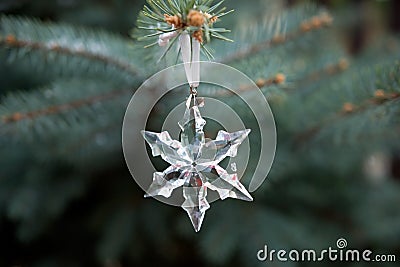 Christmas decoration, crystal flake in natural silver fir tree Stock Photo