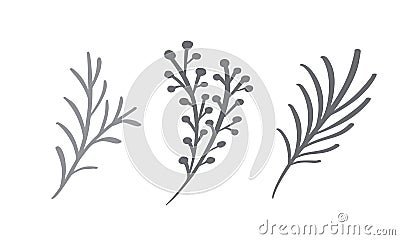 Christmas decorative branch elements design floral leaves in scandinavian style. Vector handdraw illustration for xmas Vector Illustration