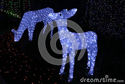 Christmas deer at the Canberra Sids and Kids light display Stock Photo