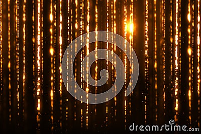 Christmas digital glitter sparks golden particles strips flowing on black background, holiday xmas event Stock Photo