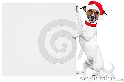 Christmas dog placeholder Stock Photo