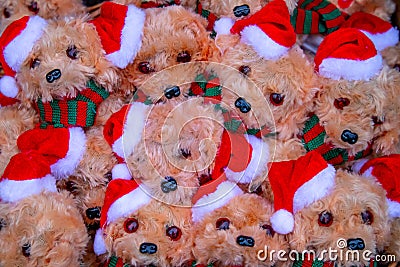 Christmas dog teddybears Stock Photo