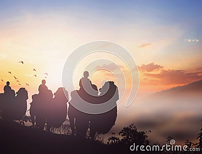 Christmas Eve concept: three doctors ride camels to Bethlehem Stock Photo