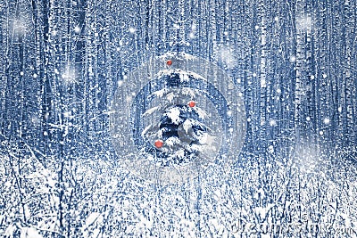 Christmas fir tree with red Christmas decorations in the winter snowy forest. Blue toning. Stock Photo