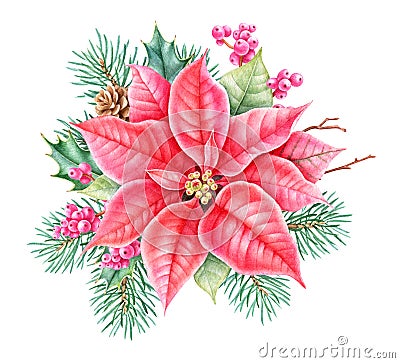 Christmas floral decor. Hand drawing watercolour botanical illustration. Cartoon Illustration