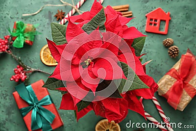 Christmas flower poinsettia with gift boxes and decorations on color table Stock Photo