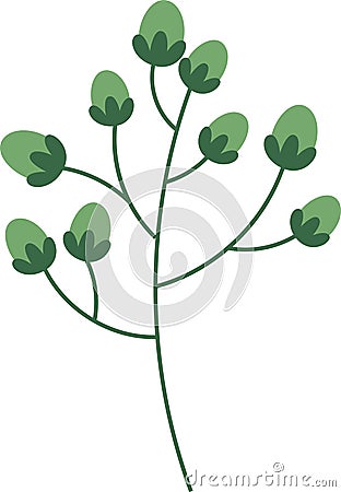 Christmas Foliage Berry Holly Mistletoe Vector Illustration