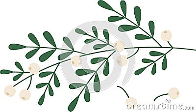 Christmas Foliage Berry Holly Mistletoe Vector Illustration