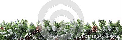 Christmas frame with snow-covered branches of fir-pine, with cones, isolated on white background. Christmas and New Year concept. Stock Photo