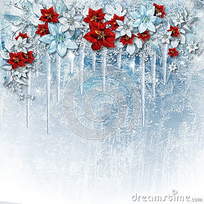 Christmas gorgeous flowers on ice background with icicles. Greet Stock Photo