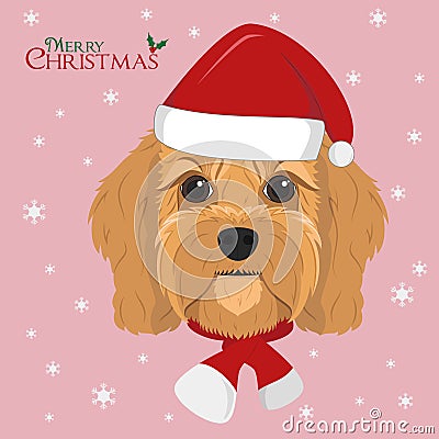 Cavoodle dog with red Santas hat and a woolen scarf for winter Vector Illustration