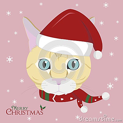 Christmas greeting card. European Shorthair cat wearing a scarf and a red Santa`s hat Vector Illustration