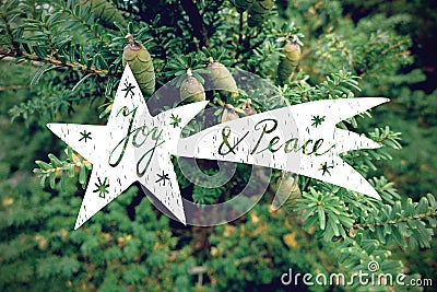 Christmas greeting card, invitation with hand drawn comet over retro photo background of coniferous tree Stock Photo