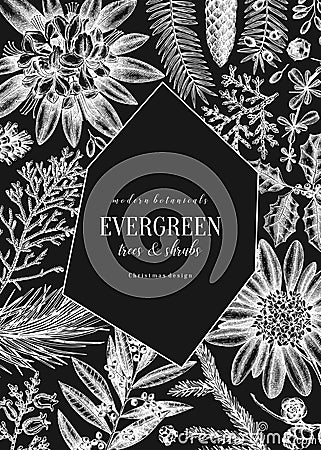 Christmas greeting card or invitation. Winter design on chalkboard. Vector frame with hand drawn winter flowers, conifers and Vector Illustration