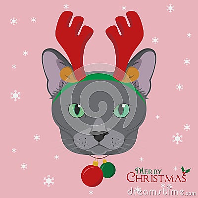 Christmas greeting card. Russian Blue cat with reindeer horns and Christmas bells Vector Illustration