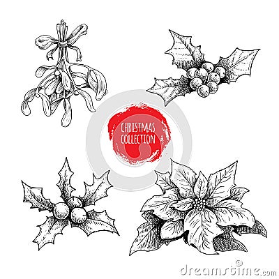 Christmas hand drawn plants collection. Holly berries, poinsettia, mistletoe. Seasonal winter symbols. Decorations for greeting ca Vector Illustration