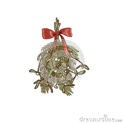 Christmas hanging mistletoe bouquet and fir with red ribbon and bow isolated Cartoon Illustration