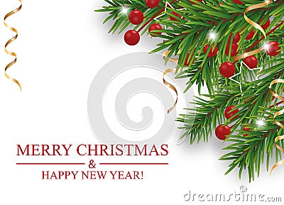 Christmas and Happy New Year decoration with Christmas tree branches and holly berries, golden ribbons on white background. Vector Vector Illustration