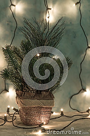 Christmas holiday, Christmas tree without decorations in a pot in the background shines garland.oprytk... Stock Photo