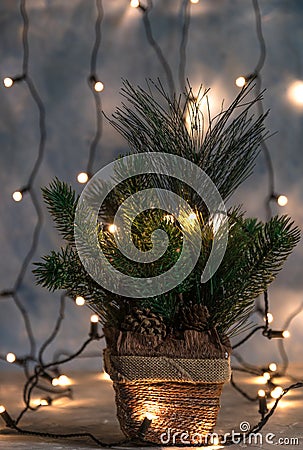 Christmas holiday, Christmas tree without decorations in a pot in the background shines garland.oprytk... Stock Photo