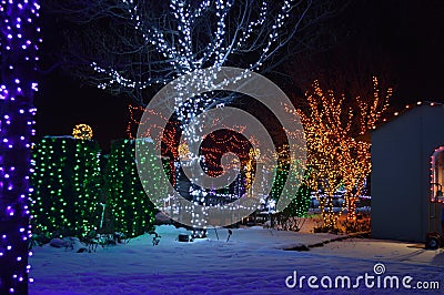 Christmas holiday colorful outdoor decorated trees Stock Photo