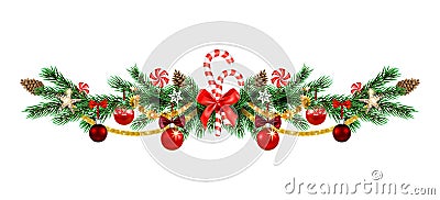 Christmas holiday evergreen ornamental baranches Vector Illustration