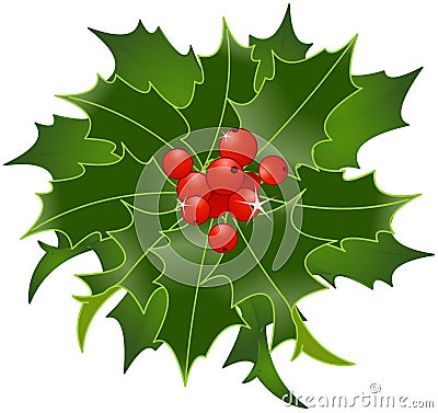 Christmas Holly Berry Vector Illustration