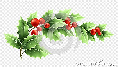 Christmas holly branch realistic illustration Vector Illustration