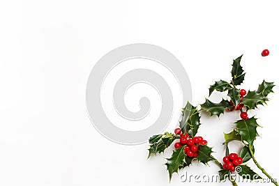 Christmas holly floral decoration on white background. Evergreen leaves with red berries and empty space for holiday Stock Photo