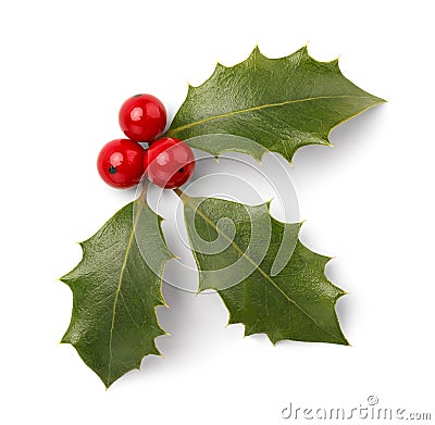 Christmas Holly Stock Photo