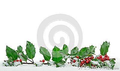 Christmas Holly on Snow Stock Photo