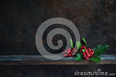 Christmas Holly Stock Photo