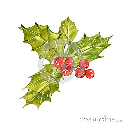 Christmas illustration with xmas mistletoe and berries. Watercolor art isolated on white background. Cartoon Illustration