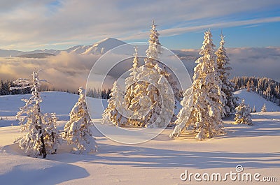 Christmas landscape in the mountains Stock Photo