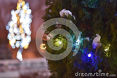 Christmas light background. Decorated with garland trees . Holiday glowing backdrop during the night. Defocused Stock Photo