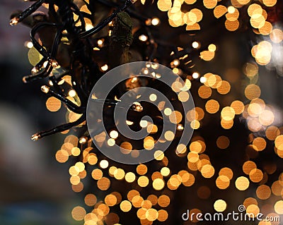 Christmas lights hanging in a tree Stock Photo