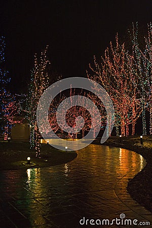 Christmas Lights Illuminating Walkway Stock Photo