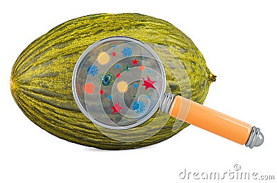 Christmas melon with germs, microbes or viruses under magnifying glass, 3D rendering Stock Photo