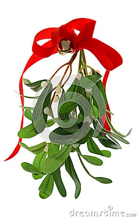 Christmas Mistletoe Isolated Stock Photo