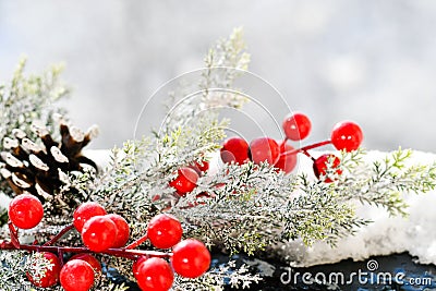 Christmas mistletoe Stock Photo
