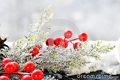 Christmas mistletoe Stock Photo