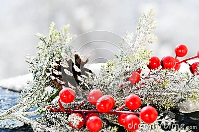 Christmas mistletoe Stock Photo