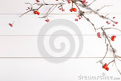 Christmas, New Year or Autumn background, flat lay composition of Christmas natural ornaments and fir branches, berries, rose hips Stock Photo