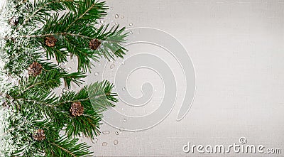Christmas New Year background with Canvas branches of a fir small bumps Stock Photo