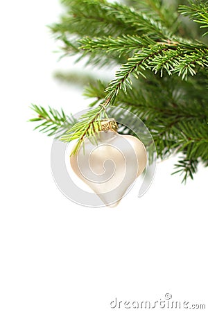 Christmas or New Year green fir and decor Stock Photo