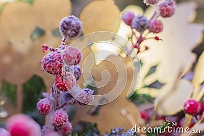 Christmas and New Year holidays background. Christmas tree decorated with red frosted berries and balls. Celebration concept Stock Photo