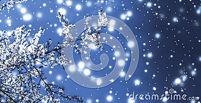 Christmas, New Years blue floral background, holiday card design, flower tree and snow glitter as winter season sale promotion Stock Photo