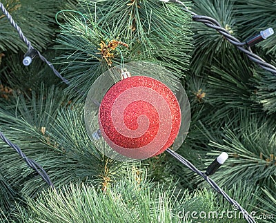 Christmas ornaments on tree Stock Photo