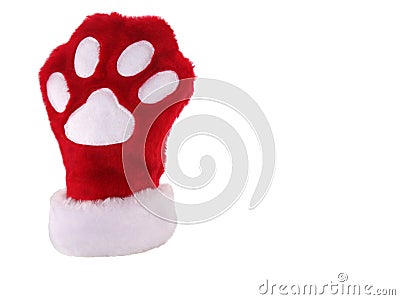 Christmas paw stocking Stock Photo