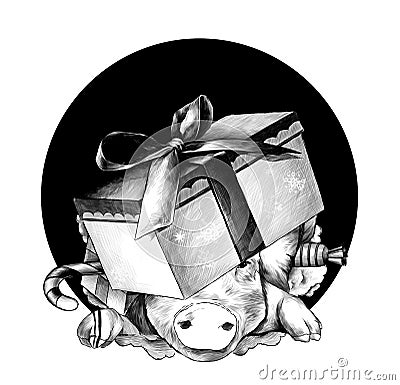 Christmas pig`s head in a festive cardboard box with a bow on his head climbs out of the hole Vector Illustration
